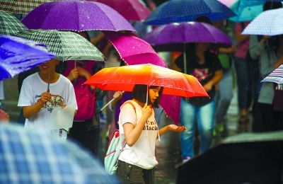 心随雨飞