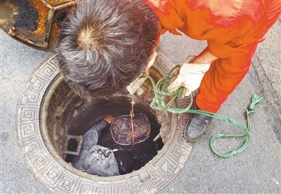 雨水停歇 今下午主城有望见到阳光