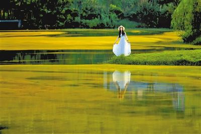 多彩二圣 美丽天坪山摄影大赛