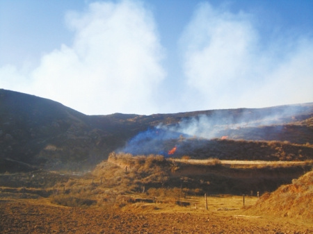 四川道孚草原过火面积约500亩 火情已被控制(