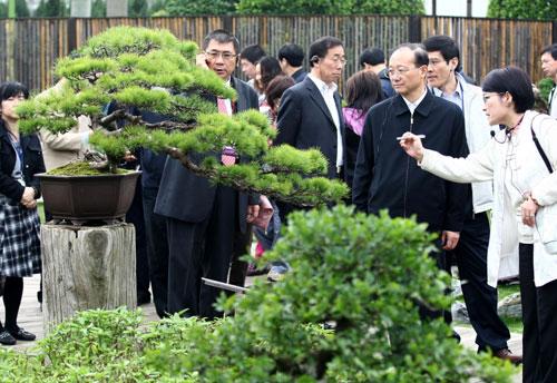 ����ΰ�η�̨��������Ի����Ƽ���ʾ����(ͼ)