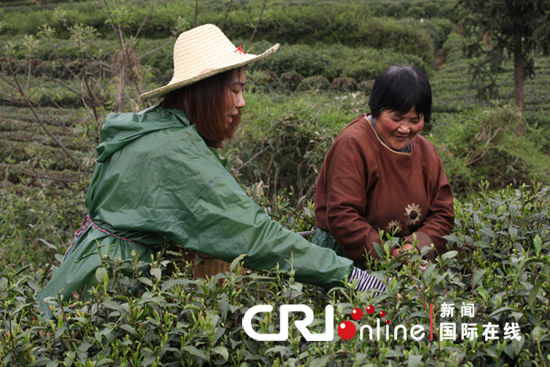 ȫ�������ռ����ּǣ����ũ���������(��ͼ)