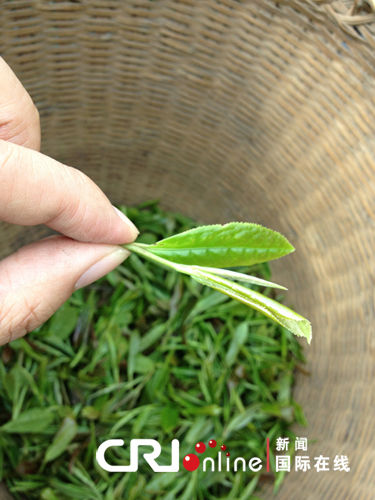 ȫ�������ռ����ּǣ����ũ���������(��ͼ)