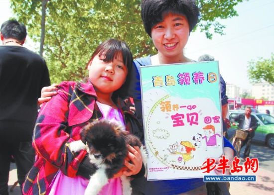 流浪狗认养活动缺场地盼爱心单位伸援手(图)