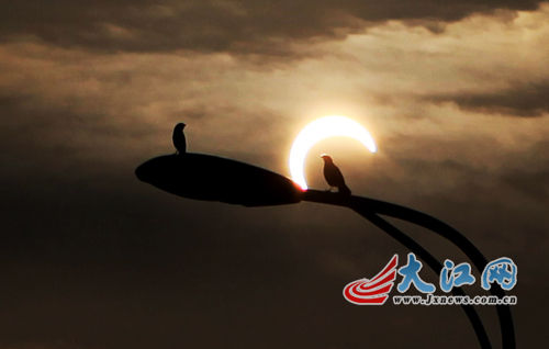 ۶�����Ͻ�������ƫʳǡ�硰һ�ֽ𹳡�����ͼ��