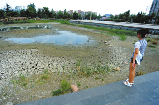 生态公园怎么了?(图)