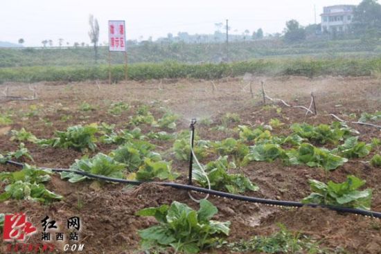 湘西州开展机械化提水节水灌溉技术大演示（图）