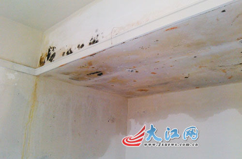 网曝南昌万科城用水泥袋填充墙壁 精装房渗水