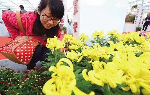 赏花,玩石,看展会……金秋时节,天河之畔的蚌埠现代花卉科技产业园