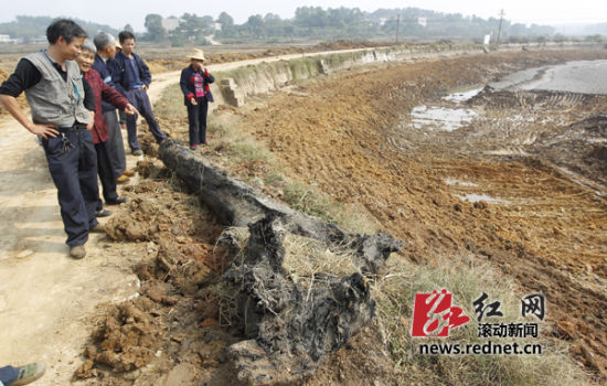 清淤水塘挖出宝贝 村民猜测可能是阴沉木[图]