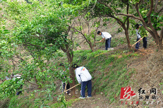 沅陵一中依托学农基地实施劳技教育