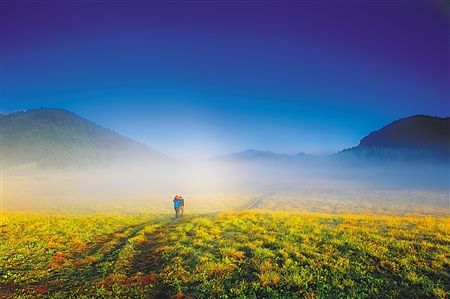 2015重庆避暑休闲全景地图出炉