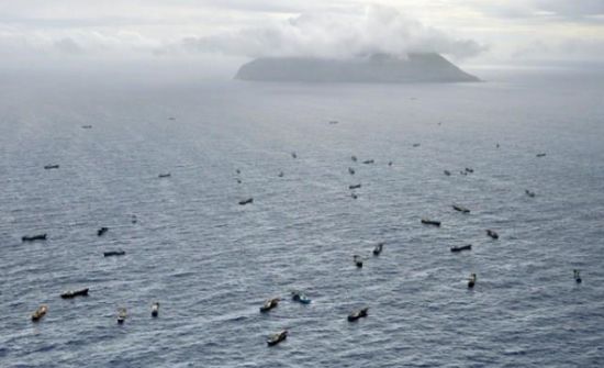 目前仍有大量中国渔船在小笠原群岛附近捕捞红珊瑚，而这一海域可能受到20号台风影响
