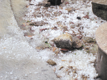 温州泰顺7日下冰雹 最大的有乒乓球那么大