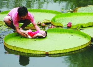 水上漂