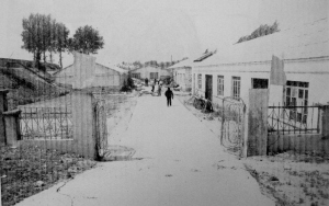 企业家向侄子借钱遭拒后杀死亲侄孙