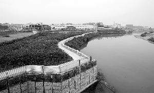 人工湿地成观澜河清湖段美丽公园