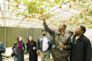 赞比亚客人参观太空作物园