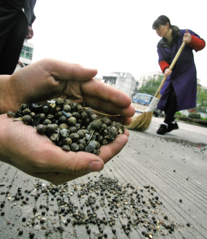 万只鸟儿漫天飞舞