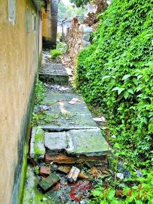 歹徒索钱结婚绑架5龄童掐死后扔入粪池