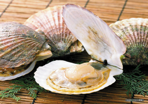贝壳怎么做才好吃 贝壳类海鲜的好吃做法步骤