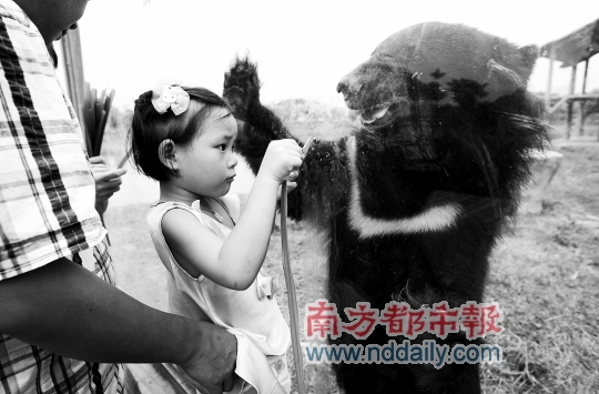 雨水随风至 南海热带低压或发展为热带风暴,今