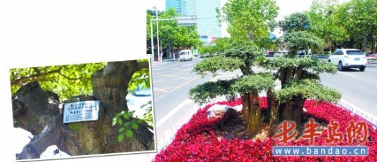 �����·�̻����ϵĶԽڰ�����