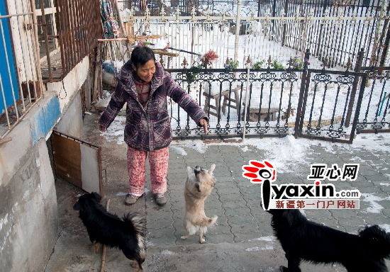 ͼΪ��23�գ�������÷���˼ҵ�Ժ������˰���̨�µĿռ����ɹ����������칷����Ҳ�и��ڷ絲ѩ�ĵط���