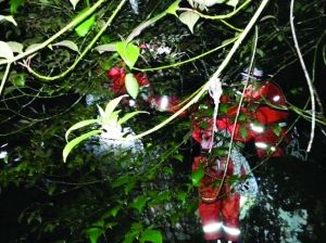 �Ѿ���Աͽ������¯��Ͽ