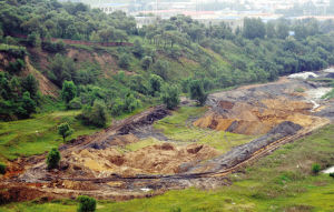 ���ɽ���ڳ��Ĵ�ӡ�