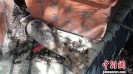 ���ӽ�������������ͷ ���Ѵ��ŷ�֪��ը��