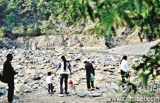 湖北十堰现捉臭屁虫大军 每斤售价150元成宝贝