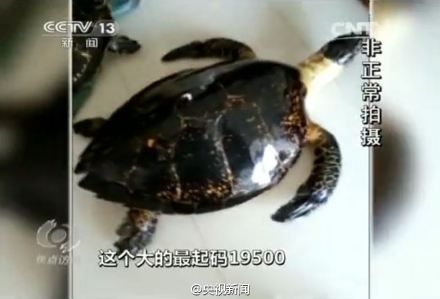 焦点访谈记者暗访视频截图 焦点访谈记者暗访视频截图