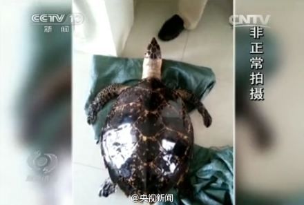 焦点访谈记者暗访视频截图 焦点访谈记者暗访视频截图