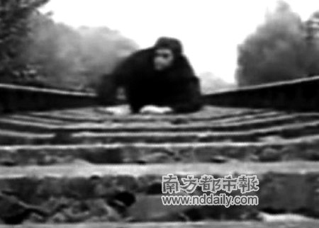 网上出现青年卧轨自拍视频(组图)
