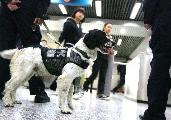 图文:(社会)上海警方携警犬地铁巡逻