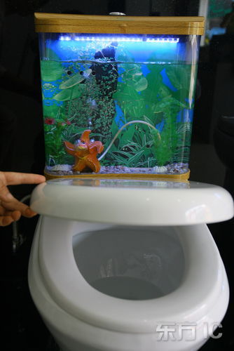 鱼缸马桶亮相上海既能冲厕所还能养鱼(组图)