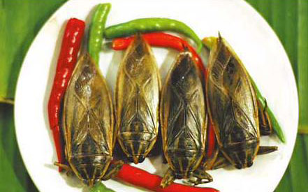 图文:油炸水甲虫(泰国曼谷)