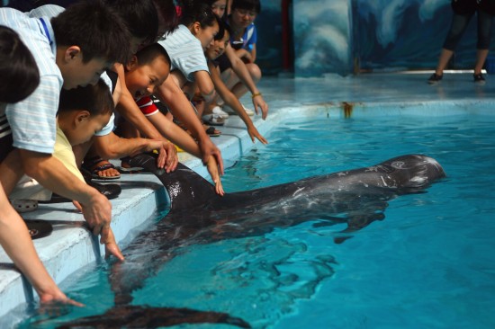 组图:海豚辅助治疗自闭症儿童