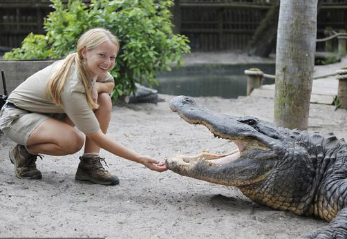 组图:年轻女子担任鳄鱼训练师与鳄鱼和平相处