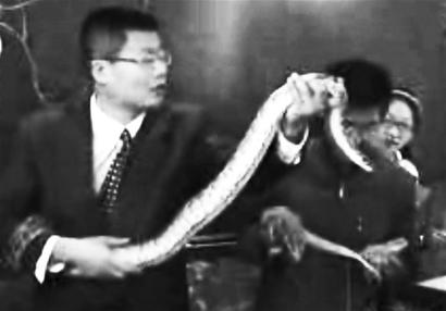 美术老师抱蟒蛇上课被同事称为疯子(组图)