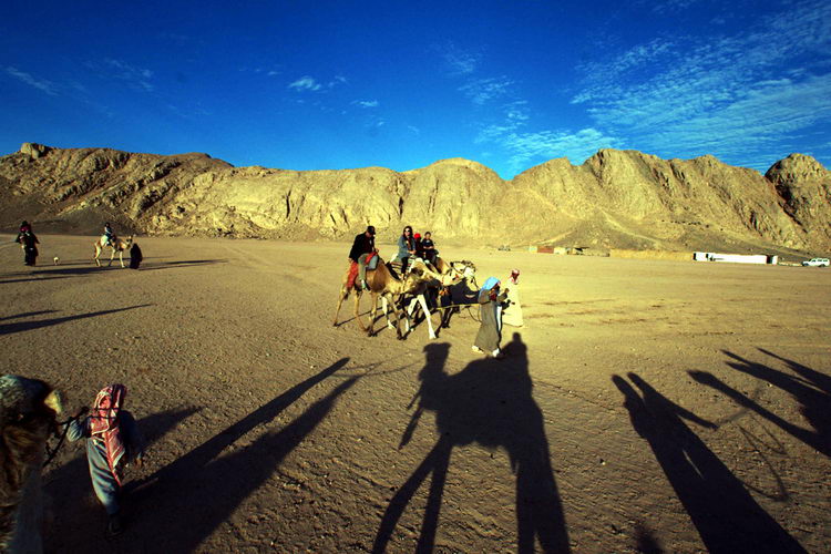 图文:贝都因人用骆驼迎来中国游客
