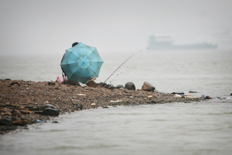 图文:雨中执着的钓鱼人