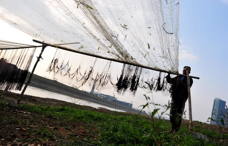 图文:渔民们将渔网挂到岸上的支架上晾干