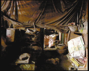 ��̫��ס���������