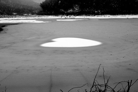 湖面“冰心”。图片由网友“碧血狂菲”提供