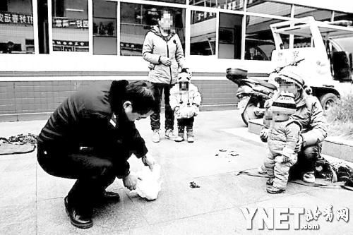 참񾯼麢ӵʪ