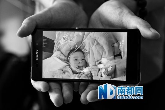 父亲从河南郑州包车到广州，KIKI被救活了。南都记者 邹卫 摄