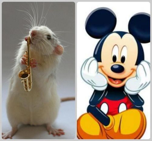 Ʒ��������ԡ���Խ�����ɳ�Ϯ