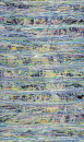 2008 Zoon-No.0820240x140cm